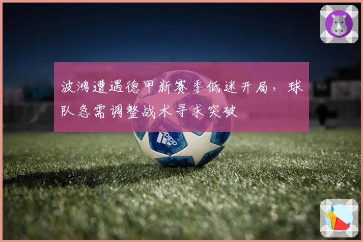 波鸿遭遇德甲新赛季低迷开局，球队急需调整战术寻求突破