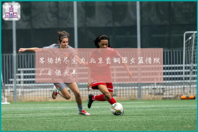 客场拼尽全力 北京首钢园女篮惜败广东领头羊