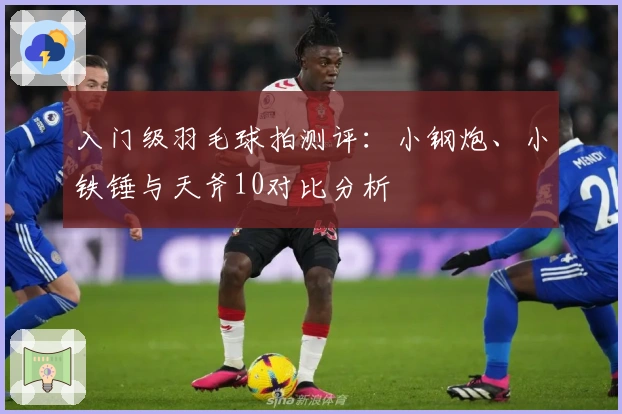 入门级羽毛球拍测评：小钢炮、小铁锤与天斧10对比分析